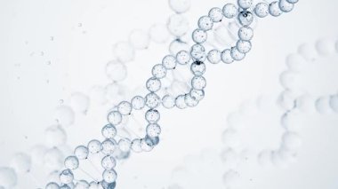 Parlak ışık ve su dokusuyla kristal DNA sarmal ipliklerinin 3 boyutlu animasyonu. Cilt bakımı, kozmetik bilimi, yaşlanma karşıtı kavramlar ve biyoteknoloji projeleri için mükemmel. Yüksek kalite 4k görüntü