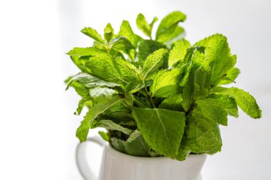 Beyaz kavanozun içinde nane yaprakları