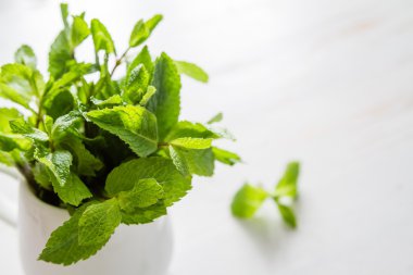 Beyaz kavanozun içinde nane yaprakları