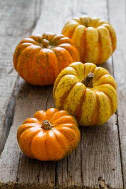 Şükran günü süsleri rustik arka plan üzerinde