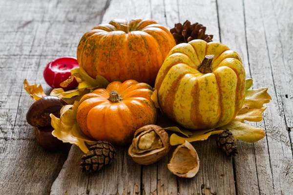 Thanksgiving decoraties op rustieke achtergrond — Stockfoto