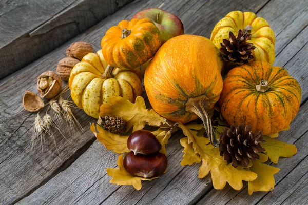 Thanksgiving decoraties op rustieke achtergrond — Stockfoto