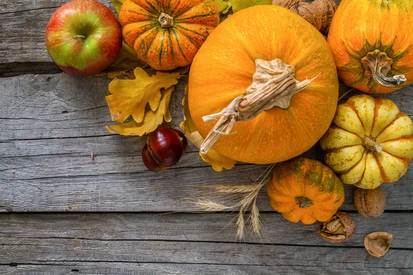 Thanksgiving decoraties op rustieke achtergrond — Stockfoto