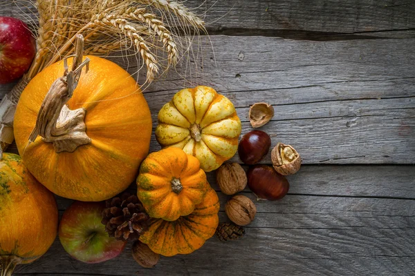 Décorations de Thanksgiving sur fond rustique — Photo