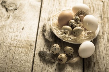 Paskalya yumurta rustik konsepti