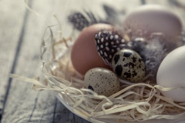 Paskalya yumurta rustik konsepti