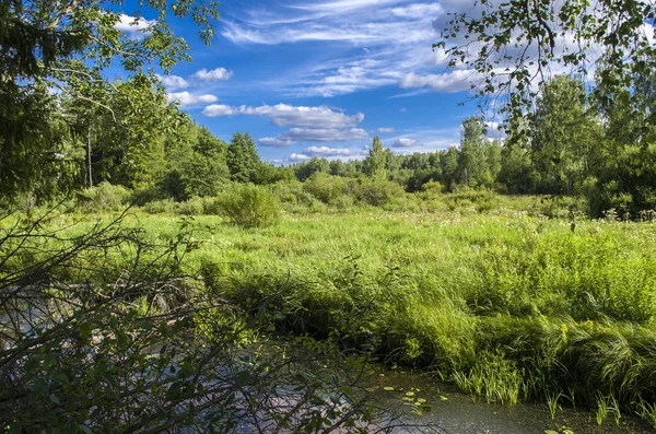 Çerçeve dere, sonra bir alanı ufuk ve iyi çizilmiş bulutlar alt kısmında