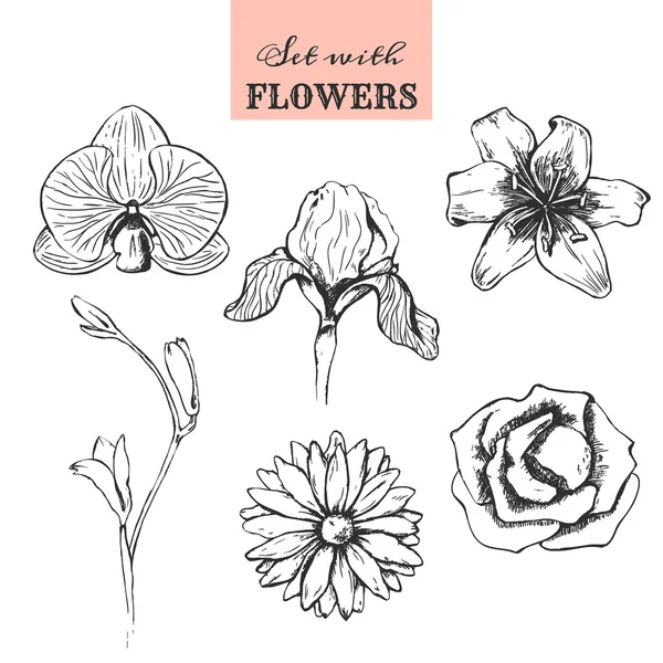 Elle çizilmiş çiçeklerle ayarla