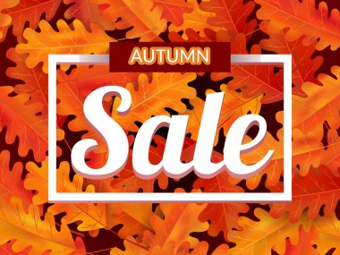 sonbahar Satılık arka plan