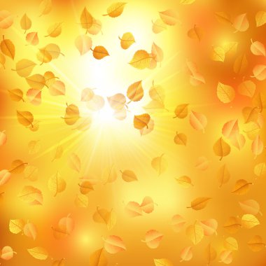 Kızılağaç yaprakları ile sonbahar arka plan