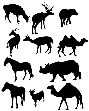 vahşi hayvanların Silhouettes