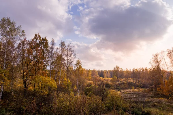 Захід Сонця Полі Травою Березами Іншими Деревами Драматичним Хмарним Небом — стокове фото