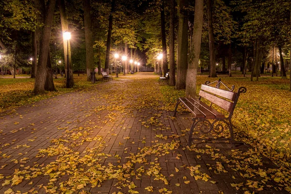 秋天的夜晚公园 黄叶飘落在人行道上 金秋季节的长椅上 灯火通明 — 图库照片