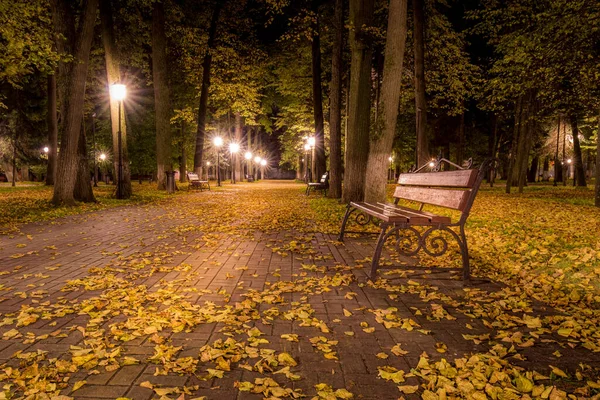 秋天的夜晚公园 黄叶飘落在人行道上 金秋季节的长椅上 灯火通明 — 图库照片