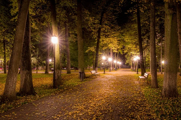 Parque Noturno Outono Com Folhas Amarelas Caídas Pavimento Bancos Temporada — Fotografia de Stock