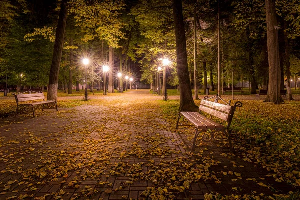 秋天的夜晚公园 黄叶飘落在人行道上 金秋季节的长椅上 灯火通明 — 图库照片