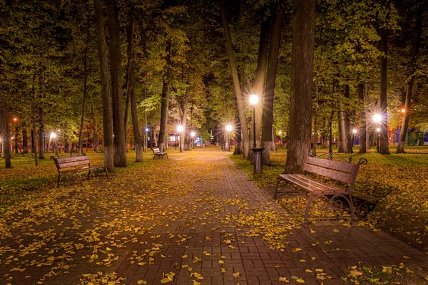 Nachtherbstpark Mit Abgefallenen Gelben Blättern Auf Dem Bürgersteig Und Bänken — Stockfoto