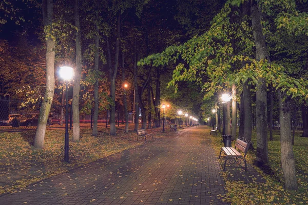 Nachtherbstpark Mit Abgefallenen Gelben Blättern Auf Dem Bürgersteig Und Bänken — Stockfoto