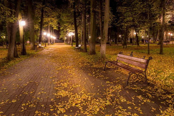 Nocny Jesienny Park Opadłymi Żółtymi Liśćmi Chodniku Ławeczkami Złotym Sezonie — Zdjęcie stockowe