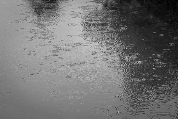 雨滴落在水坑里 在水面上留下了圆圈 雨天背景 — 图库照片