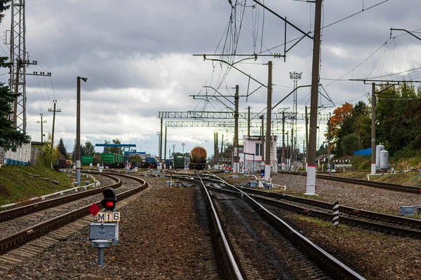 Railroad with rails and freight wagons and cisserines on them.