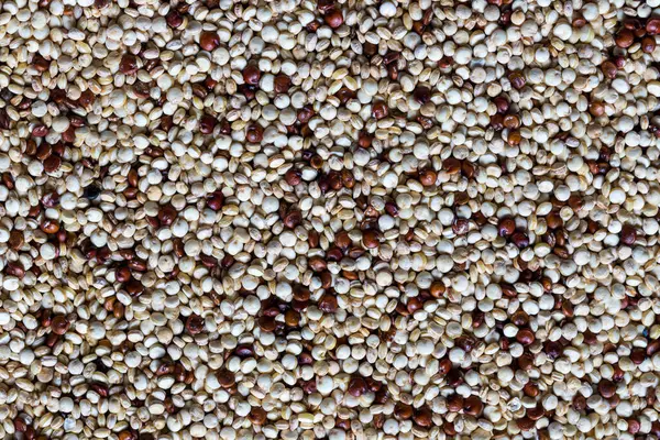 Widok Niegotowaną Mieszankę Czerwonej Białej Komosy Tekstura Żywności — Zdjęcie stockowe