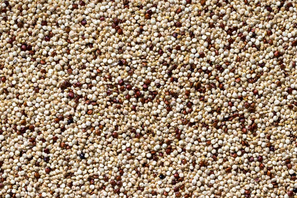 Uma Vista Aérea Uma Mistura Não Cozida Quinoa Vermelha Branca — Fotografia de Stock
