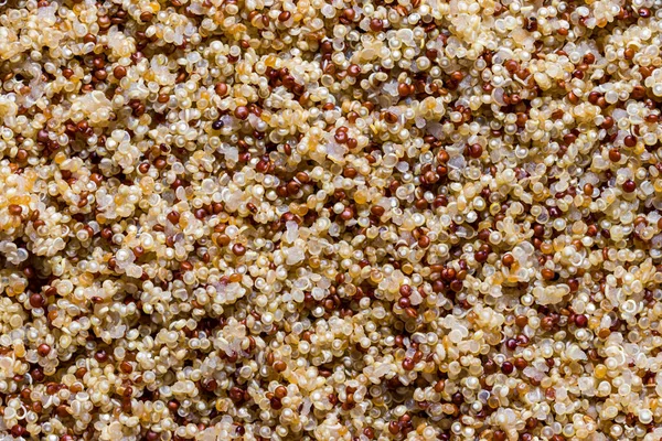 Overhead View Cooked Mixture Red White Quinoa Food Texture — Stock Photo, Image