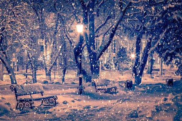Зимовий Нічний Парк Ліхтарями Лавками Тротуарами Деревами Вкритими Снігом Сильних — стокове фото