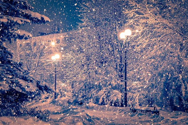 Winter Night Park Lanterns Pavement Trees Covered Snow Heavy Snowfall — Stock Photo, Image