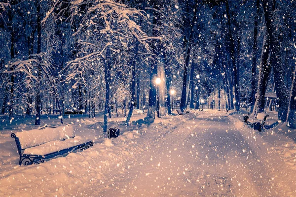 Parco Notturno Invernale Con Lanterne Marciapiedi Alberi Innevati — Foto Stock