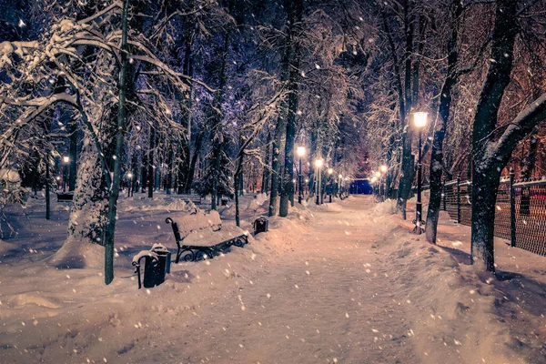 Зимний Ночной Парк Фонарями Тротуарами Деревьями Покрытыми Снегом Сильный Снегопад — стоковое фото