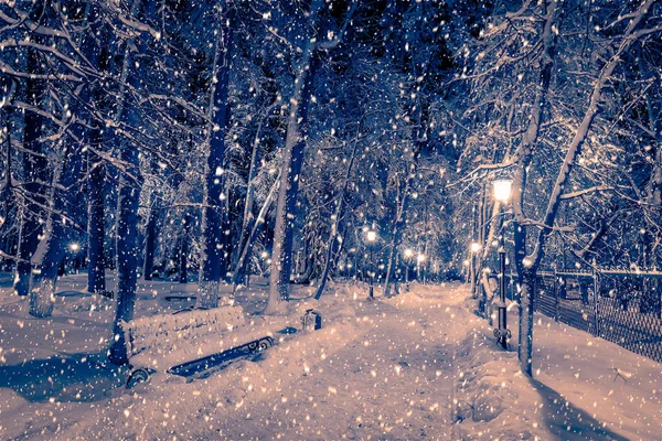 Winter Night Park Lanterns Pavement Trees Covered Snow Heavy Snowfall — Stock Photo, Image