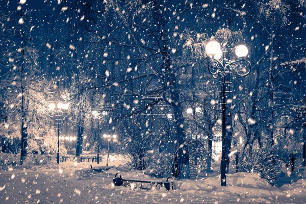 Winter Night Park Lanterns Pavement Trees Covered Snow Heavy Snowfall — Stock Photo, Image