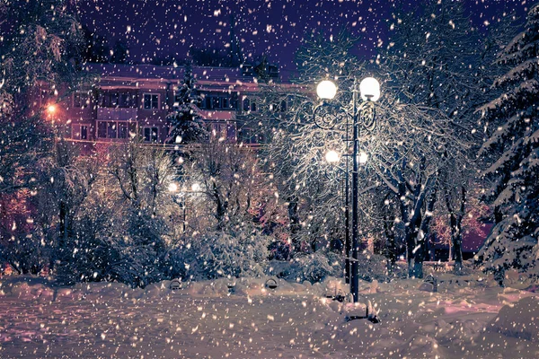 Winter Nachtpark Met Lantaarns Bestrating Bomen Bedekt Met Sneeuw Zware — Stockfoto