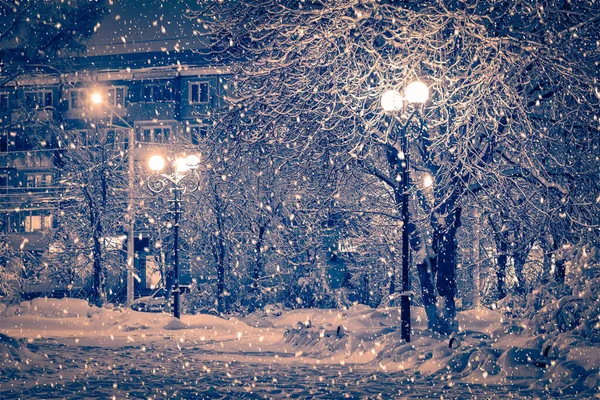 Parc Nuit Hiver Avec Lanternes Trottoir Arbres Couverts Neige Dans — Photo