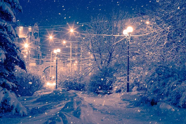 Parque Nocturno Invierno Con Farolillos Pavimento Árboles Cubiertos Nieve Fuertes — Foto de Stock