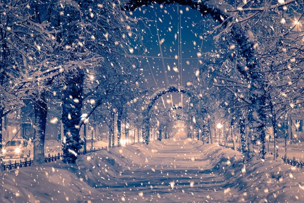 Parco Notturno Invernale Con Lanterne Decorazioni Natalizie Abbondanti Nevicate — Foto Stock