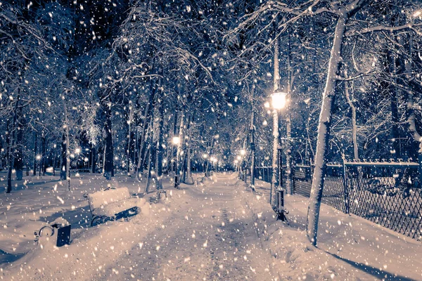 Winternachtpark Mit Laternen Bürgersteig Und Schneebedeckten Bäumen Bei Starkem Schneefall — Stockfoto