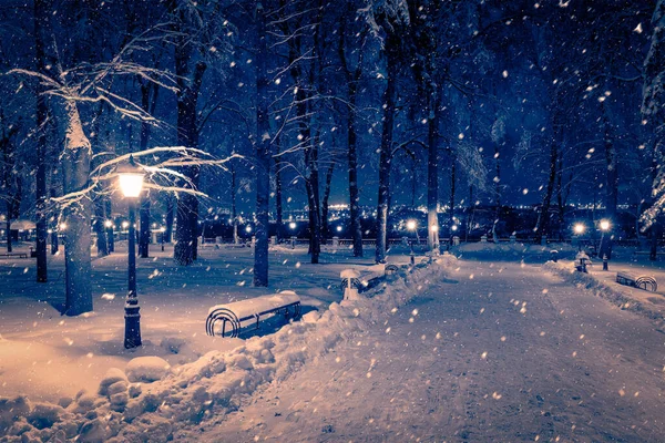 Winternachtpark Mit Laternen Bürgersteig Und Schneebedeckten Bäumen Bei Starkem Schneefall — Stockfoto