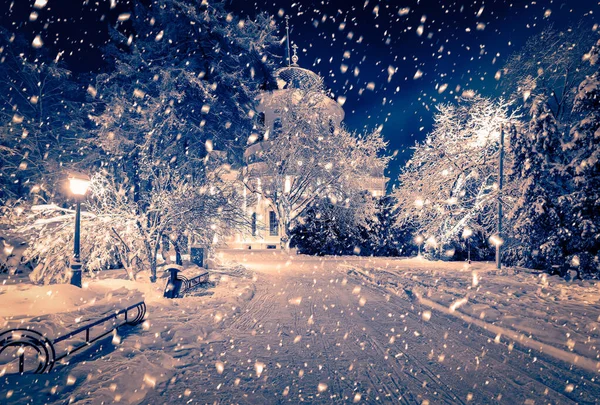 Winternachtpark Mit Laternen Bürgersteig Und Schneebedeckten Bäumen Bei Starkem Schneefall — Stockfoto