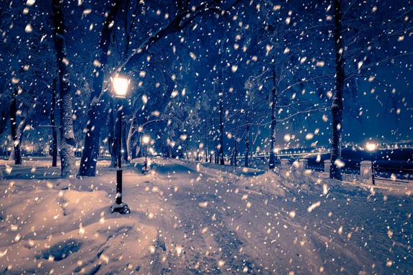 Parque Nocturno Invierno Con Farolillos Pavimento Árboles Cubiertos Nieve Fuertes — Foto de Stock