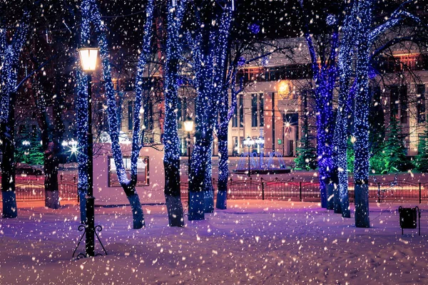 Parque Nocturno Invierno Con Linternas Decoraciones Navideñas Fuertes Nevadas —  Fotos de Stock