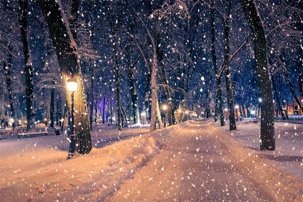 豪雪地帯の雪に覆われたランタン 舗装された木々と冬の夜の公園 — ストック写真