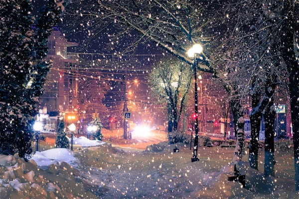 Winter Night Park Lanterns Pavement Trees Covered Snow Heavy Snowfall — Stock Photo, Image
