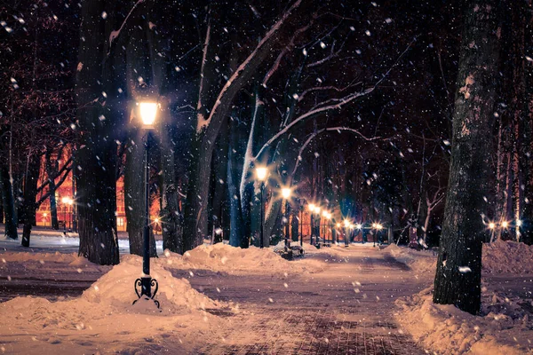 Parque Nocturno Invierno Con Farolillos Pavimento Árboles Cubiertos Nieve Fuertes — Foto de Stock