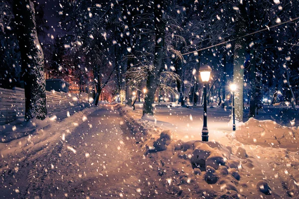 Winter Night Park Lanterns Pavement Trees Covered Snow Heavy Snowfall — Stock Photo, Image