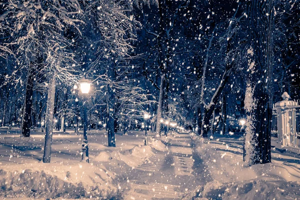 Winter Night Park Lanterns Pavement Trees Covered Snow Heavy Snowfall — Stock Photo, Image