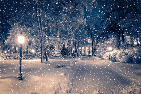 Parc Nuit Hiver Avec Lanternes Trottoir Arbres Couverts Neige Dans — Photo