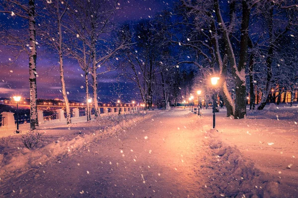 Parque Nocturno Invierno Con Farolillos Pavimento Árboles Cubiertos Nieve Fuertes —  Fotos de Stock